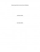 Producto: Agua mineral con trozos de Acai y Hierbabuena