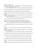 Crónica de una muerte anunciada. Resumen de la página 109-130