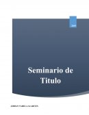 Problemática del Aeropuerto comunal “AERS”
