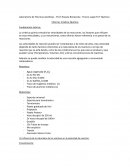 INFORME CINÉTICA QUÍMICA