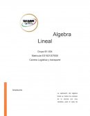 Algebra lineal