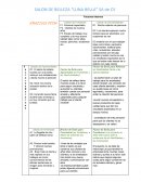 SALON DE BELLEZA “LUNA BELLA” SA de CV