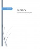 FIRESTICK segmentación de mercados