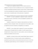 Administracion del ciclo de vida de la carrera