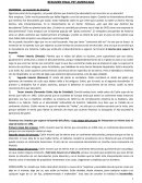 Resumen pet americana