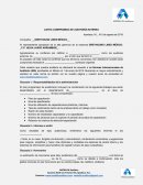 CARTA COMPROMISO DE AUDITORÍA EXTERNA