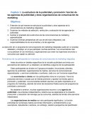Capítulo 3. La estructura de la publicidad y promoción: función de las agencias de publicidad y otras organizaciones de comunicación de marketing
