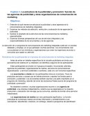 Capítulo 3. La estructura de la publicidad y promoción: función de las agencias de publicidad y otras organizaciones de comunicación de marketing