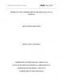 IMPORTANCIA DEL COMPORTAMIENTO ORGANIZACIONAL EN LAS EMPRESAS