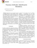 Neuronas Artificiales: Identificación Biométrica