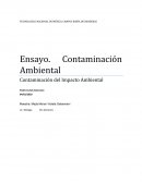 Contaminación del Impacto Ambiental