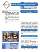 Resumen ejecutivo comedores