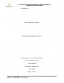 Mapa conceptual planeacion y organización