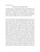 El suicidio al trasluz de la psicología evolutiva