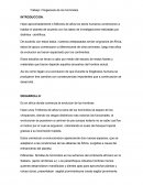 Trabajo: Filogenesis de los hominidos