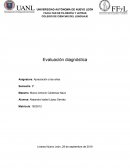 Evidencia Diagnóstica Apreciación a las artes