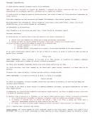 Resumen de músculo