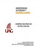 MATRIZ DE ESTILO SOCIAL: MARINA MÍA RESTAURANT&BAR