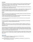 Estrategias de aprendizaje