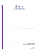 Alimentación Colectiva Informe práctica