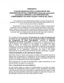 PLAN DE NEGOCIOS PARA LA CREACION DE UNA ORGANIZACIÓN SOCIAL COMUNITARIA