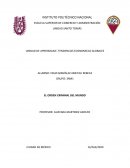 SINTESIS DEL VIDEO EL ORDEN CRIMINAL DEL MUNDO