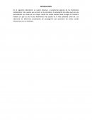 Laboraorio de fisica ondulatoria