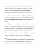 Análisis organizacional dentro de la empresa Serinco Drilling