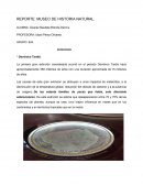 REPORTE MUSEO DE HISTORIA NATURAL
