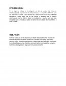 Sistemas para la organización de campeonatos