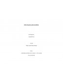 Planificacion y preparacion de auditorias