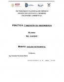 PRÁCTICA: 2 medición de absorbencia