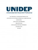 EFECTOS DE LOS FACTORES EXTERNOS DE LA MERCADOTECNIA