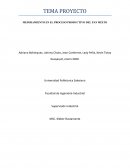 MEJORAMIENTO EN EL PROCESO PRODUCTIVO DEL PAN MIXTO