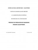 PROCESO DE PRODUCCION MANZANA