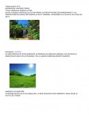 BIOMAS DE AMERICA LATINA