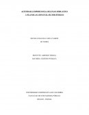 IMPORTANCIA DEL PLAN INDICATIVO Y PLAN DE ACCION EN EL SECTOR PÚBLICO