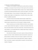 Cuadrantes y Regiones abdominales