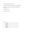 ECONOMÍA. “Neoliberal”