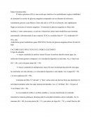 INDICE DE MASA CORPORAL