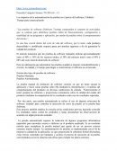 Los impactos de la automatización de pruebas en el precio del software, Calidad y Tiempo para comercializarlo