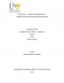 DISEÑO DE ESTRATEGIAS ORGANIZACIONALES