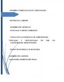 VENTAJAS Y DESVENTAJAS DE SER UN CONSUMIDOR RESPONSABLE