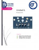 La organización y responsabilidad social a nivel local, regional, nacional e internacional en aspectos ecológicos, económicos, políticos, tecnológicos y gobierno
