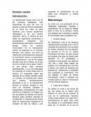 Reporte de practica-División celular