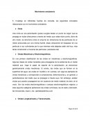 Movimiento Ondulatorio