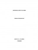 ¿Por qué la neuroeducación es considerada una aliada para los programas de educación?