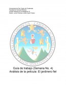 Análisis de la película: El jardinero fiel