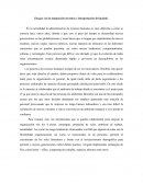 Ensayo con la integración de temas e interpretación del modelo