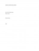 SANGRE DE CAMPEON (SIN CADENAS)